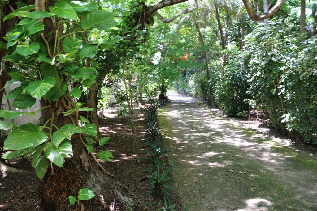 מראגוג'י Pousada Ponta De Mangue מראה חיצוני תמונה